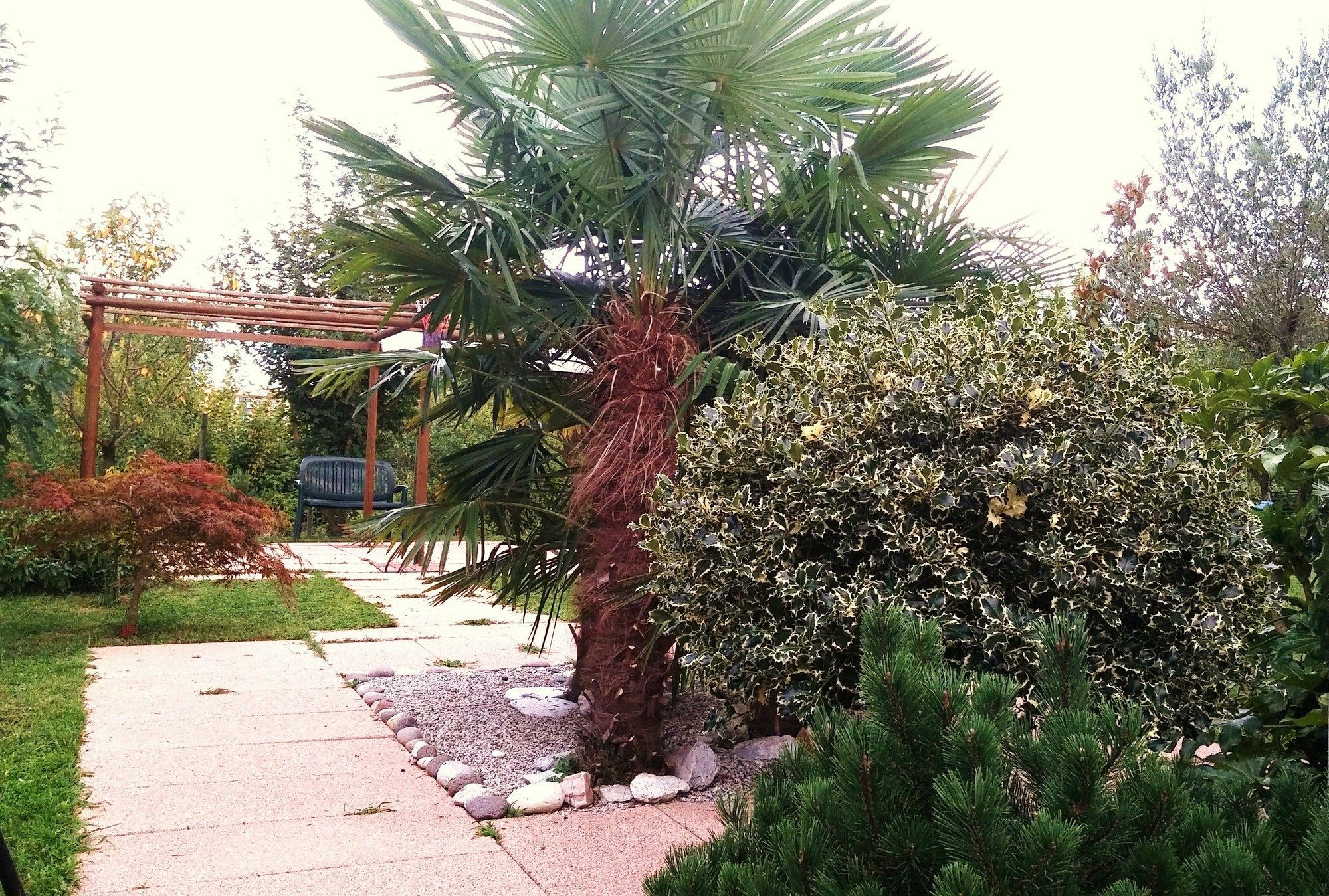 Apartment Dream Venice Airport